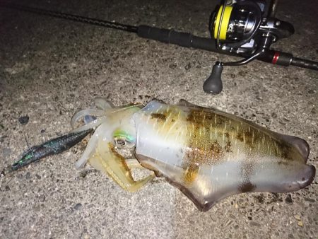 スラックジャーク