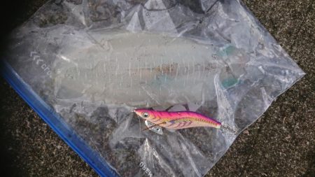 自己記録更新！