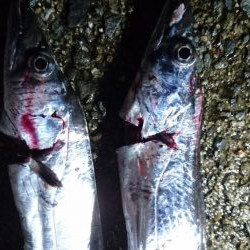 武庫一渡してもらえず…