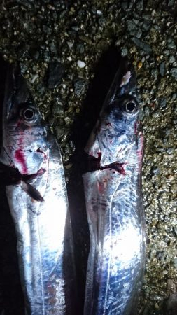 武庫一渡してもらえず…