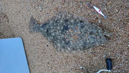 スッテDEフラット？