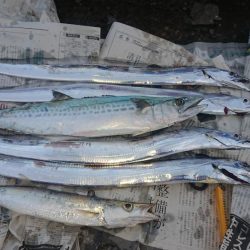 時合いは明け方に