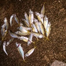 爆風でしかも渋い