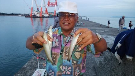 播磨新島に秋ギスの気配