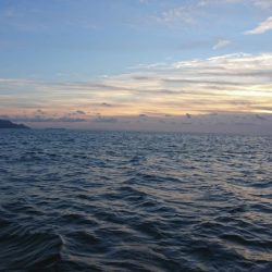 県南ノマセサビキ&ジギング&タイラバ