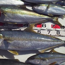 今シーズン初ジギング