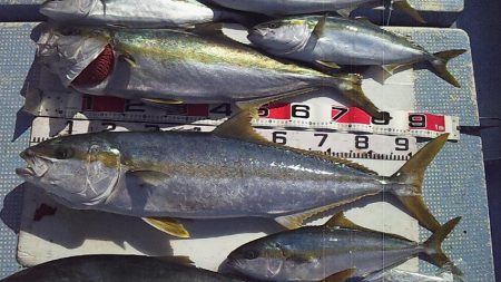 今シーズン初ジギング