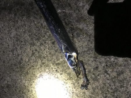 タチウオ フラップヘッド