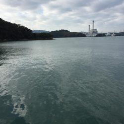 台風明けタチウオ