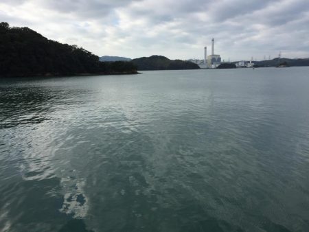 台風明けタチウオ