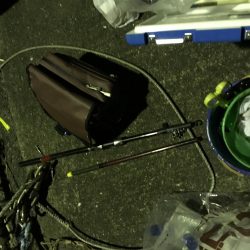 アジ サバ 大漁