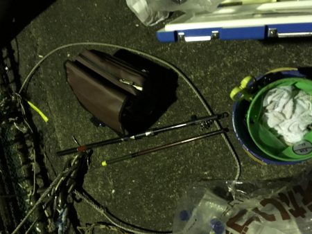 アジ サバ 大漁