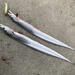 ショアジギ前に