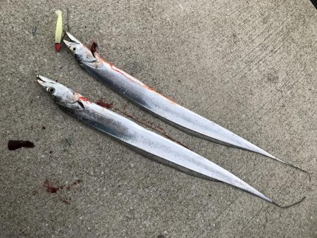 ショアジギ前に