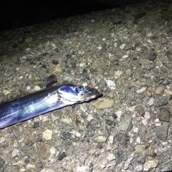 軽い気持ちでしたが、、