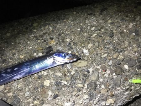 軽い気持ちでしたが、、