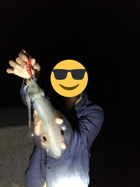 秋エギング終盤戦