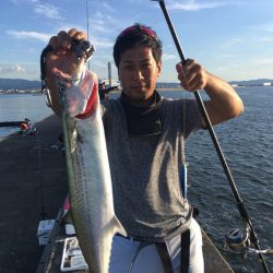 岸和田一文字にて爆釣