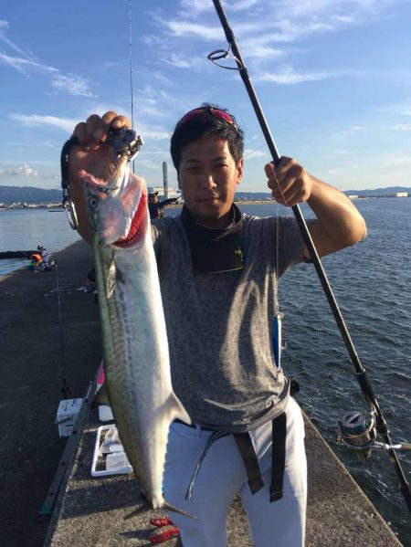 岸和田一文字にて爆釣