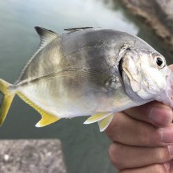 トホホなメッキと嬉しいおまけ