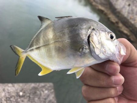 トホホなメッキと嬉しいおまけ