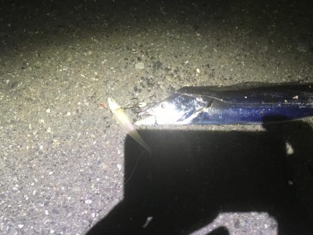 ワインド楽しい