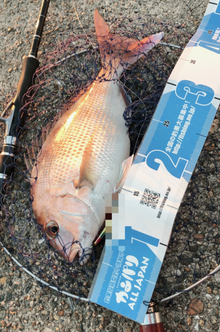 青物ならぬ○物