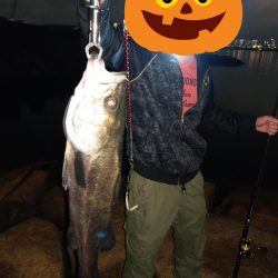 ベイトたくさんでワクワク