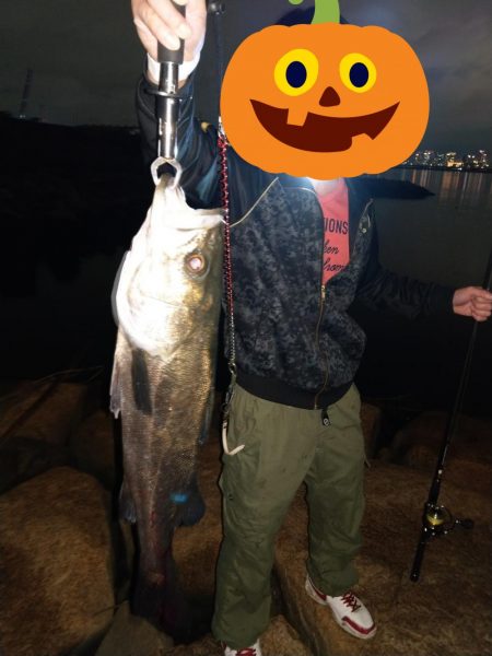 ベイトたくさんでワクワク