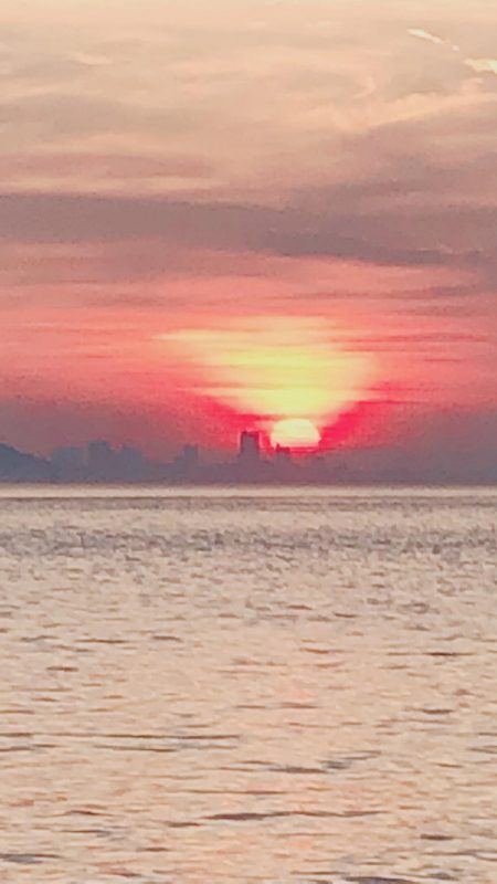 今日は良く釣れました~