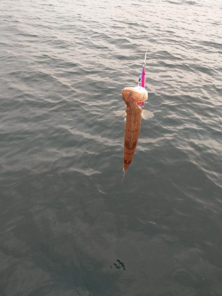 やばいやつがいた