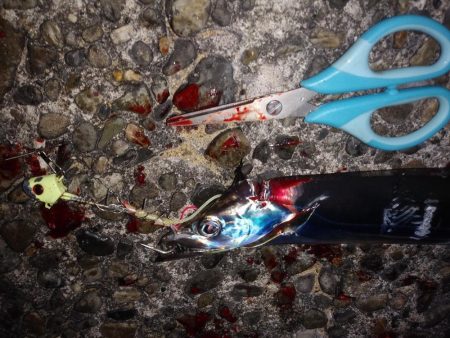 ポイント命！？