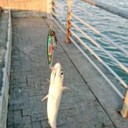 ラトル音で魅せろ!笑 鯖ゲーム