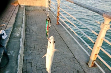 ラトル音で魅せろ!笑 鯖ゲーム