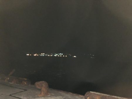 ナイトライトショアジギング