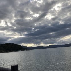 ベイトライトショアジギング