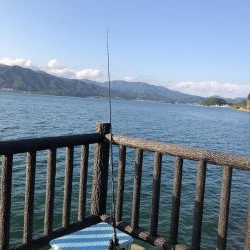 青物は裏切らない