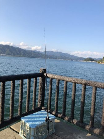 青物は裏切らない