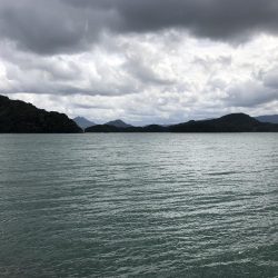 ベイトフィネスショアジギング