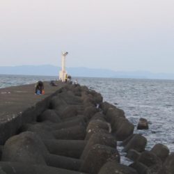大野っ突堤ヒラメ