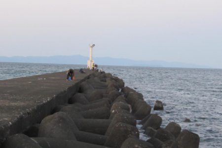 大野っ突堤ヒラメ