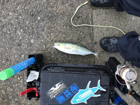 神戸タチウオ釣行の帰り