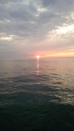 淡路島釣行二日目