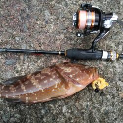 ドンっからのブルブル