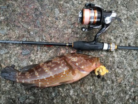 ドンっからのブルブル