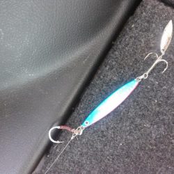 メタルジグでサワラ80cm!