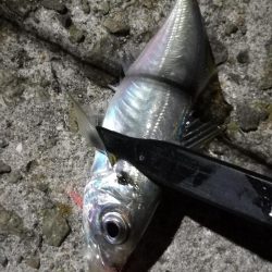 サイズアップしません