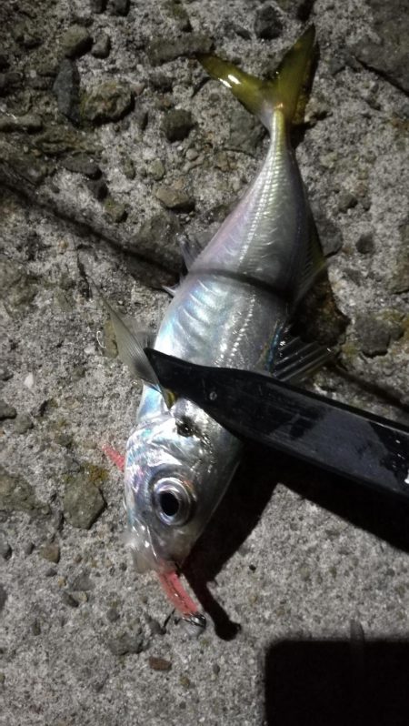 サイズアップしません