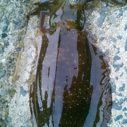 強行しました！