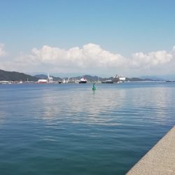 ライトショアジギング